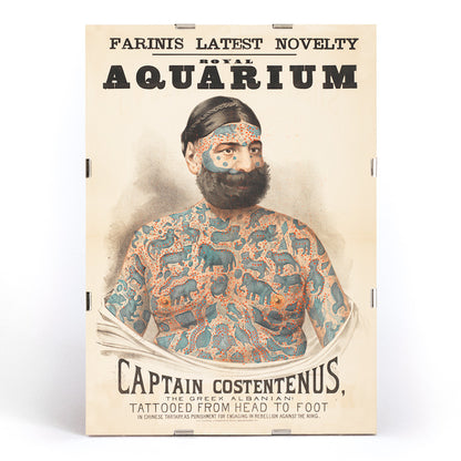 Tattooed man Captain Costentenus the Greek Albanian at The Royal Aquarium vintage poster artwork, framed and displayed in modern living room decor