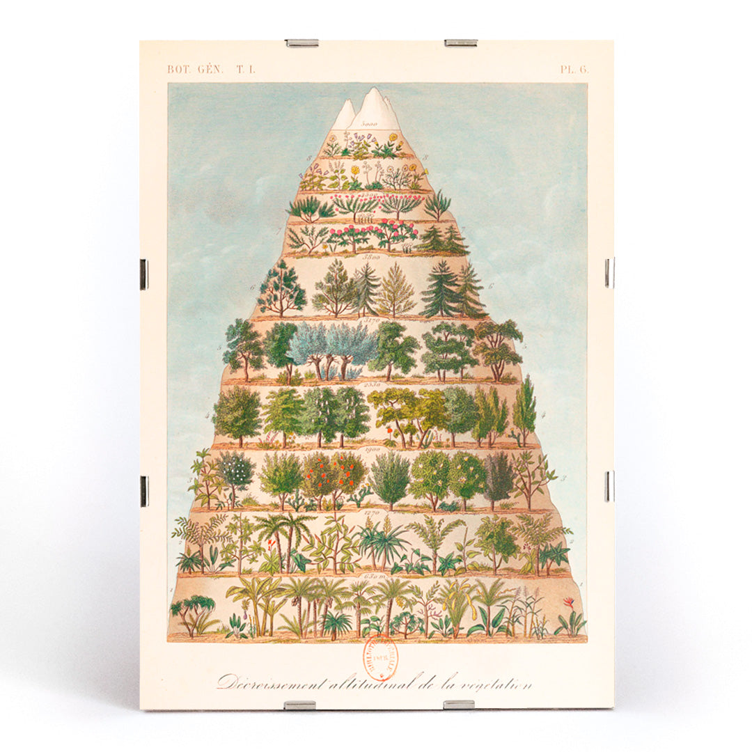 , framed and displayed in modern living room decor