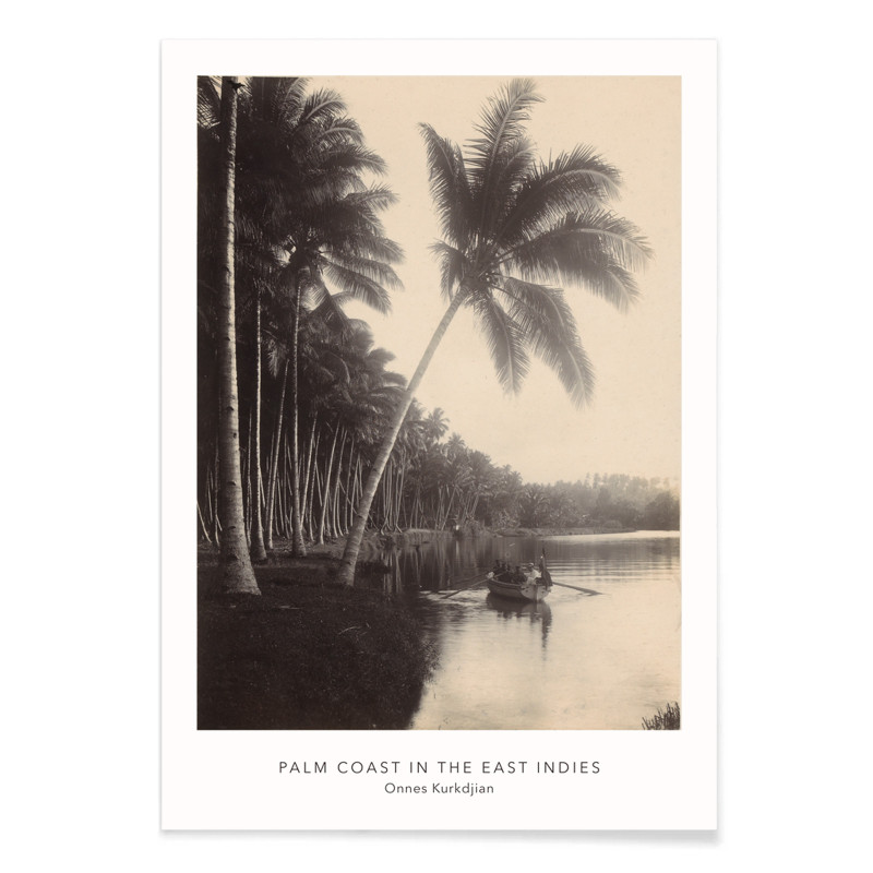 Palmküste
